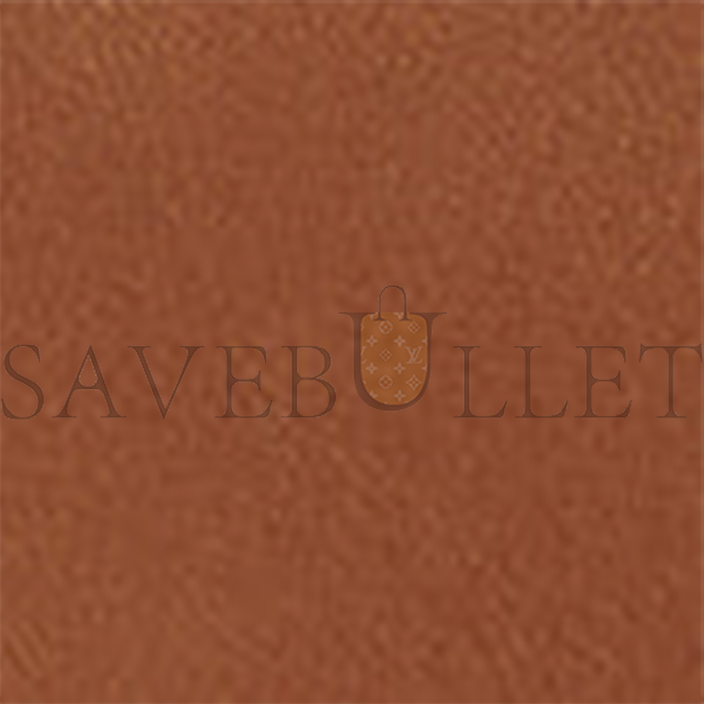 T*e R*w soft margaux 10 bag in leather cuir w1190l72cushg (25*18*19cm)